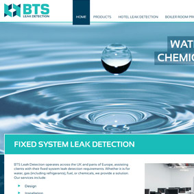 Web Design for BTS Leak Detection